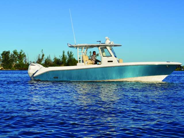 Everglades 335