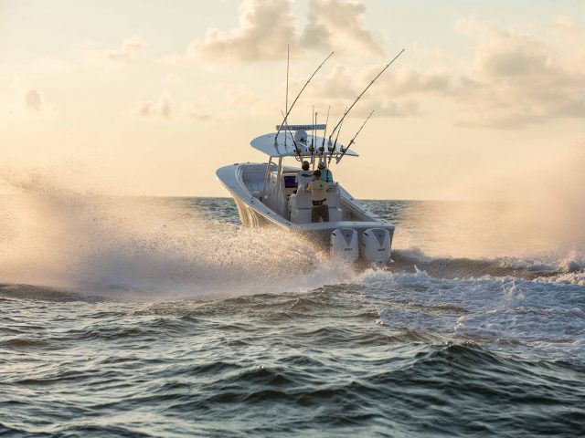 31 regulator 2
