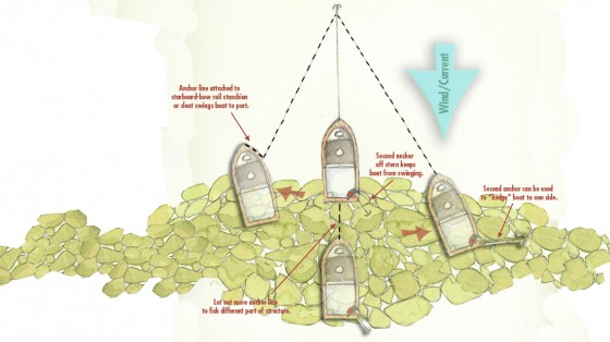 Tips for Catching Tautog Anchoring Illustration