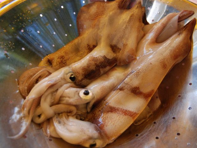 DSC 0026 e1539962544329