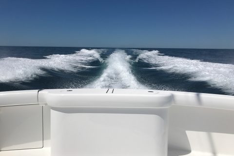IMG 7094 copy