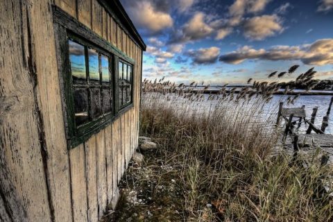 Vineyard Haven VH002
