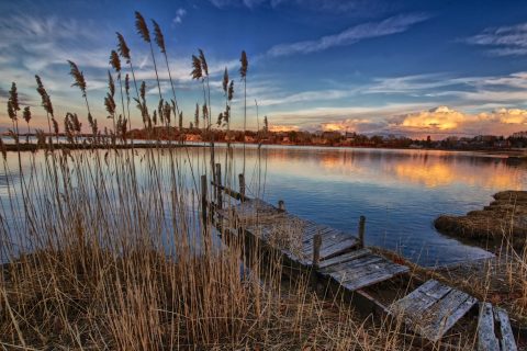 Vineyard Haven VH009 1