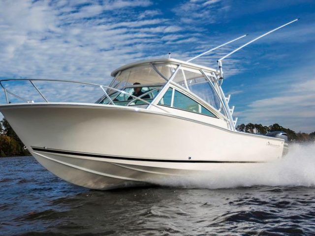 Albemarle 25