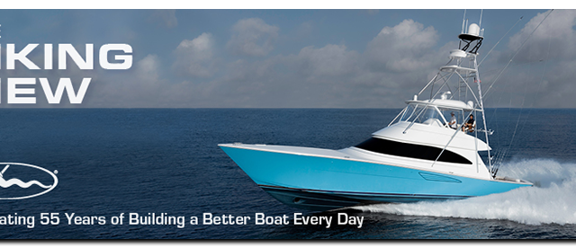 viking view header