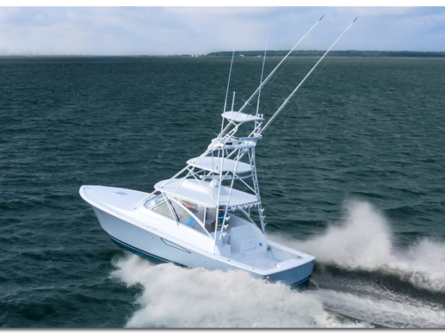 38 open billfish