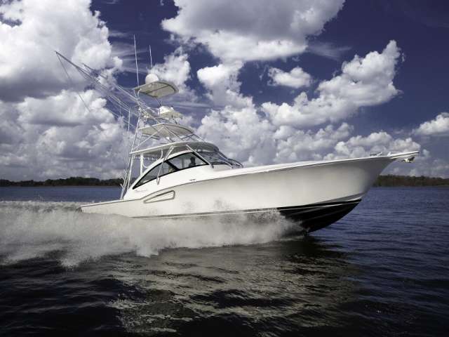 Albemalre 41 1