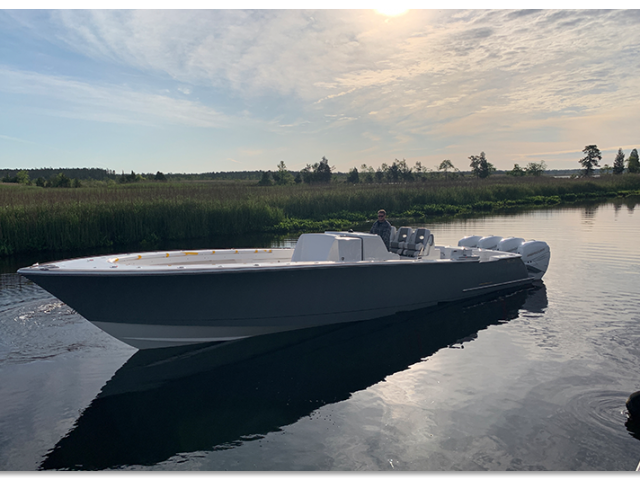 VikingView