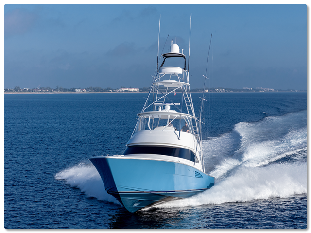 viking view evolution