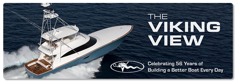 VV logo