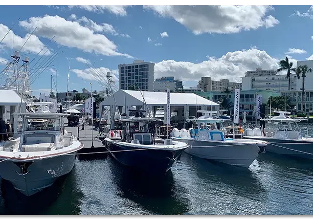 VReport FLIBS.1.png 1