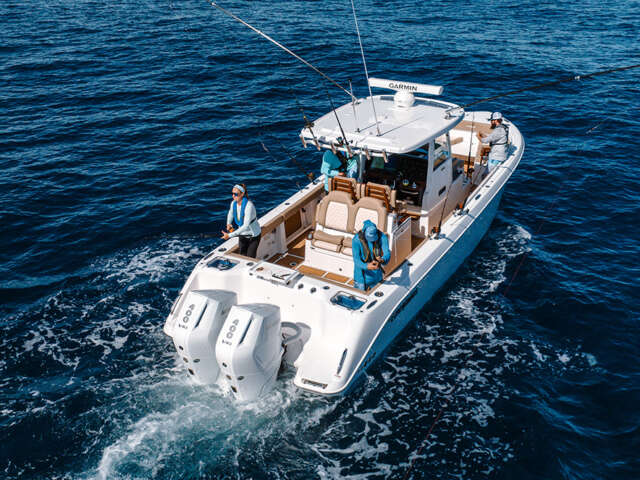 Everglades 315cc