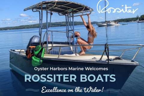 Rossiter – Blog
