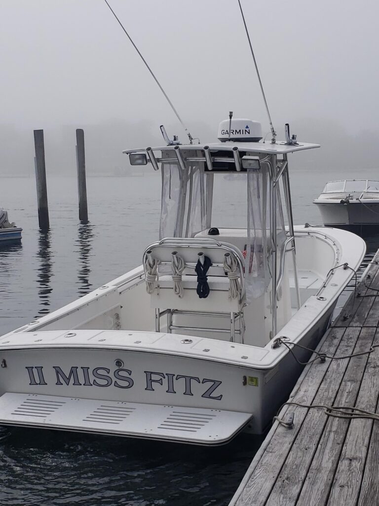 1999 Silverhawk 24