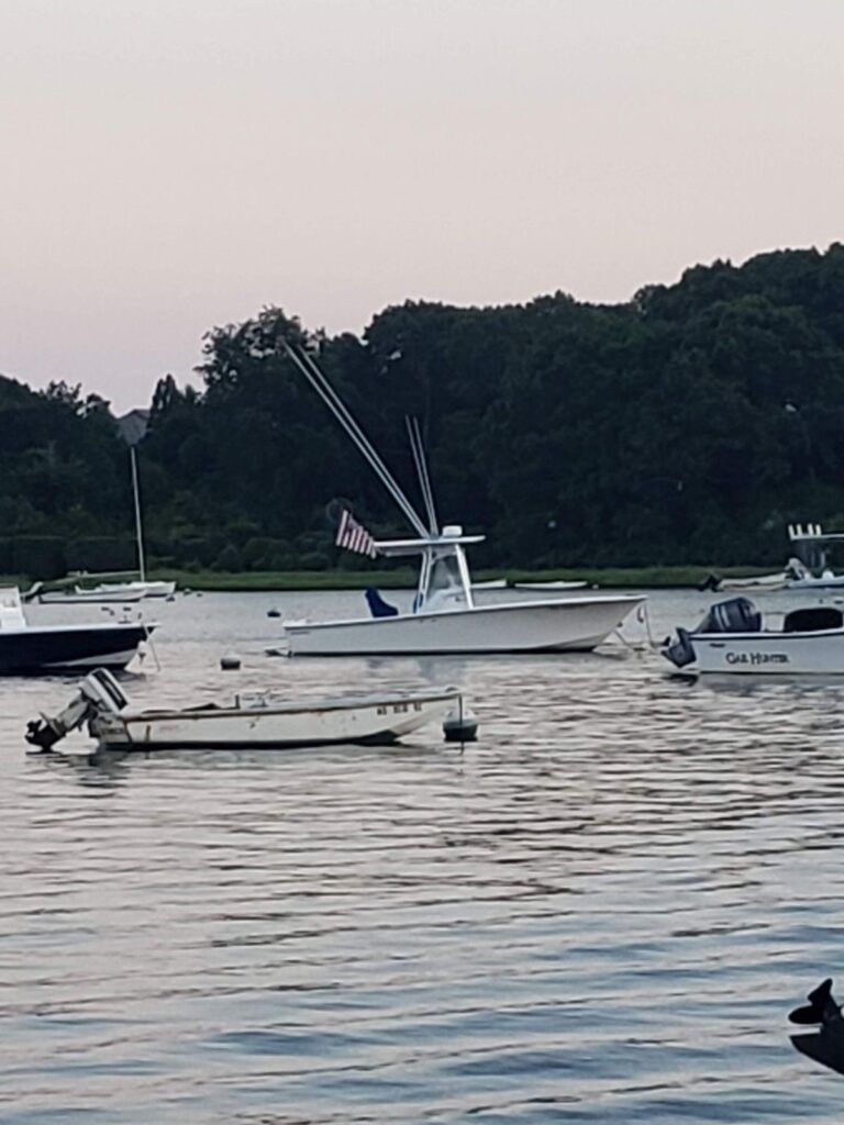 1999 Silverhawk 24