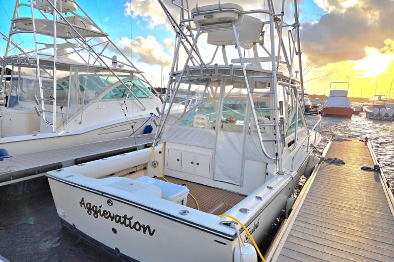 2007 Carolina Classic 28 Express