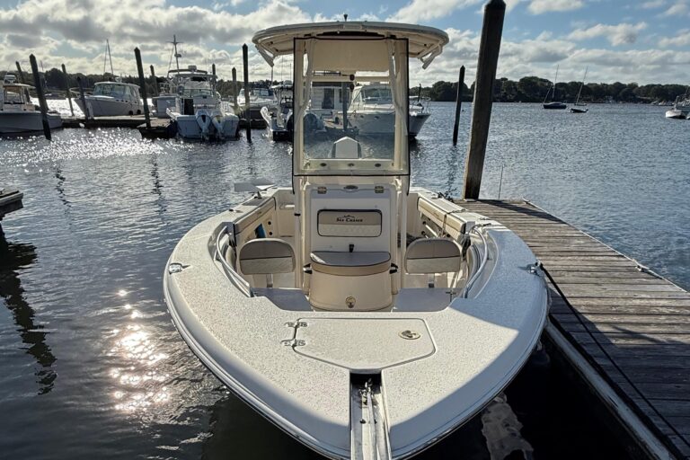2020 Sea Chaser 22 HFC