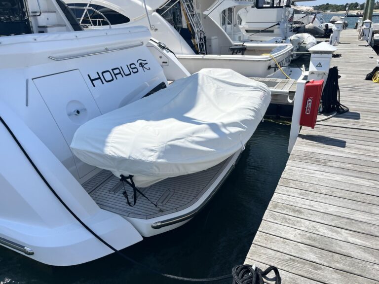 2021 Williams Jet Tenders Turbojet 325