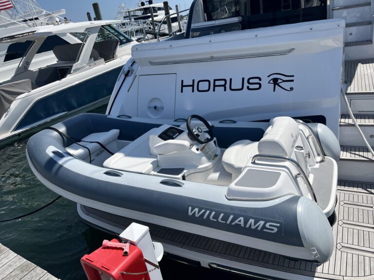 2021 Williams Jet Tenders Turbojet 325