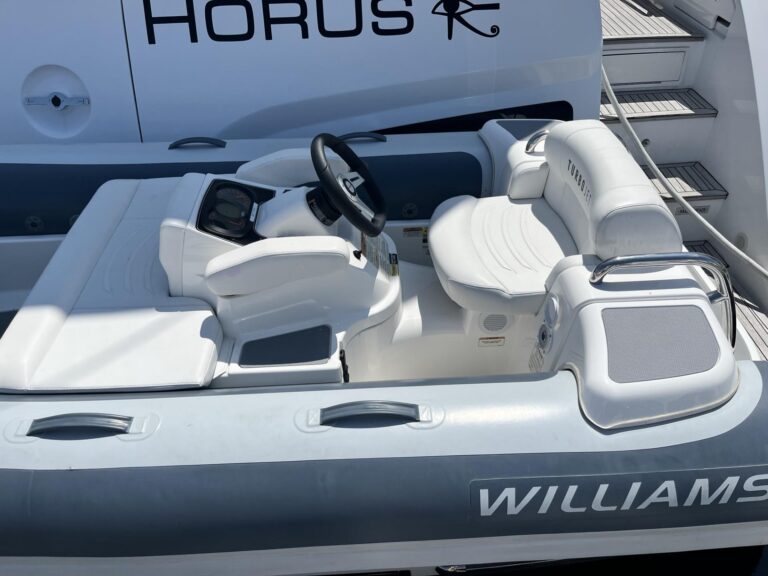 2021 Williams Jet Tenders Turbojet 325