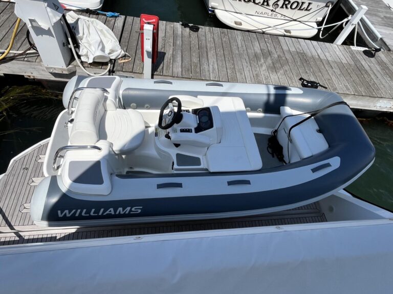 2021 Williams Jet Tenders Turbojet 325