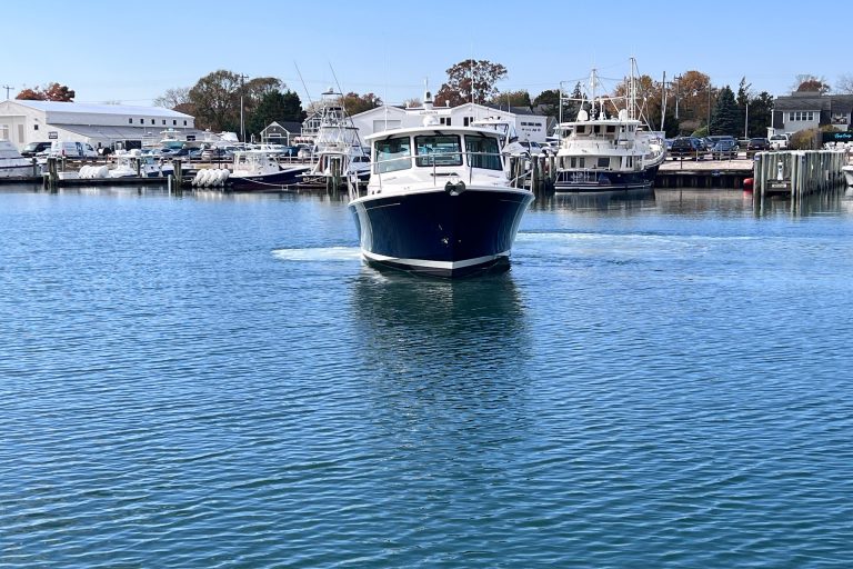 2024 Back Cove 39O